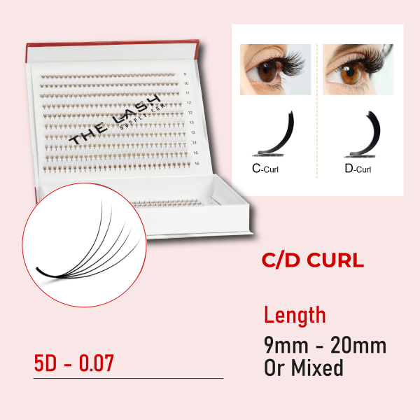 10D 0.05 (Mega Box) - C - Mixed