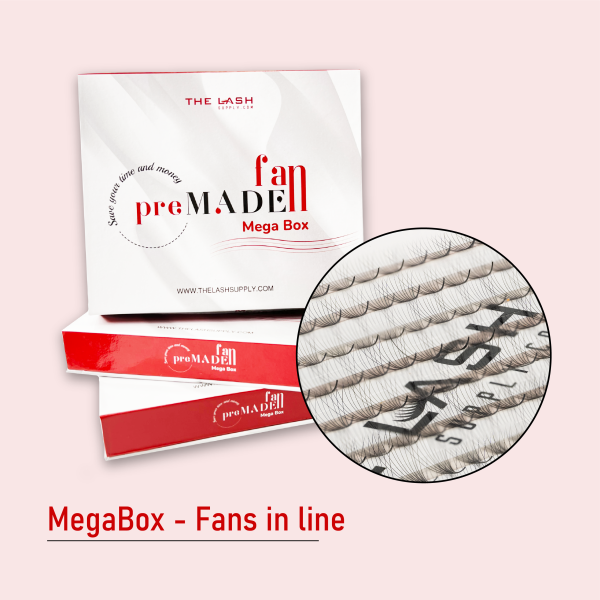 10D 0.05 (Mega Box) - D - 13mm