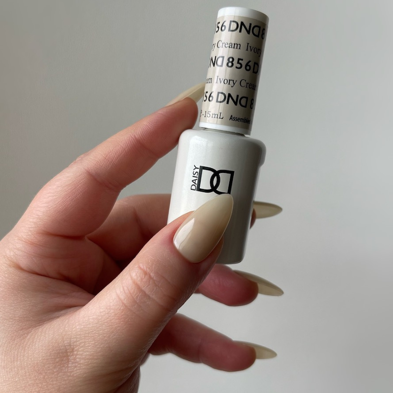 DND 856 Ivory Cream