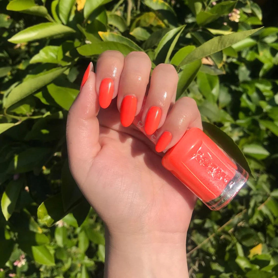 DND 426 Pastel Orange