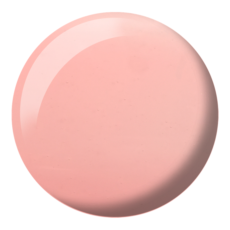 DND 885 Rebel Rose