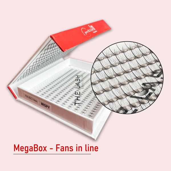 7D Wispy (Mega Box) - C - Mixed