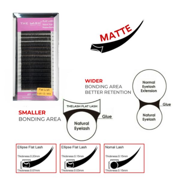 Flat Lash (Ellipse) - C - 14mm