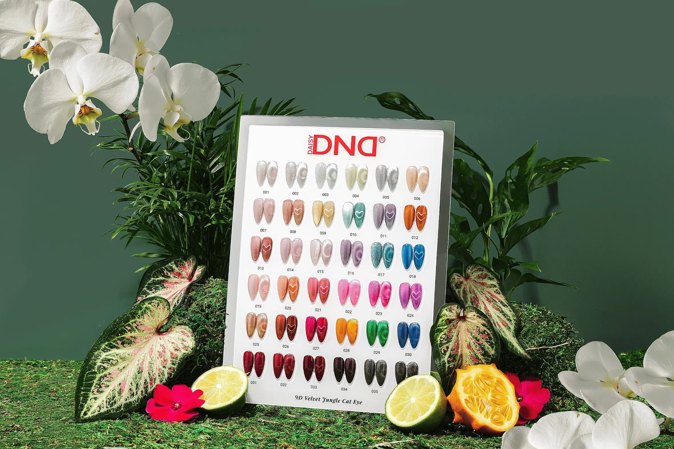 DND 9D Cat Eye Velvet Jungle 36 shade color chart